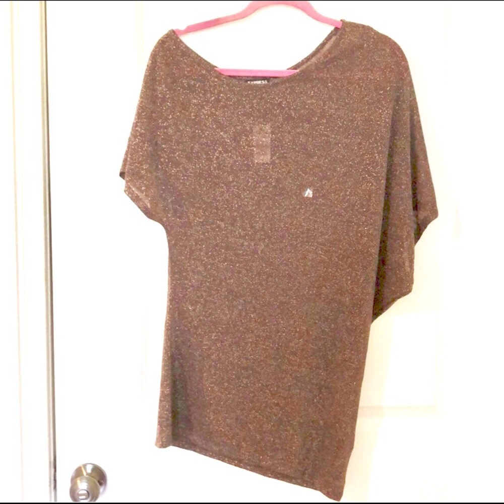 Express Brown and Gold S/S sweater top